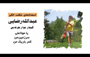 عبدالله رضایی گیتار نواز حرفه 